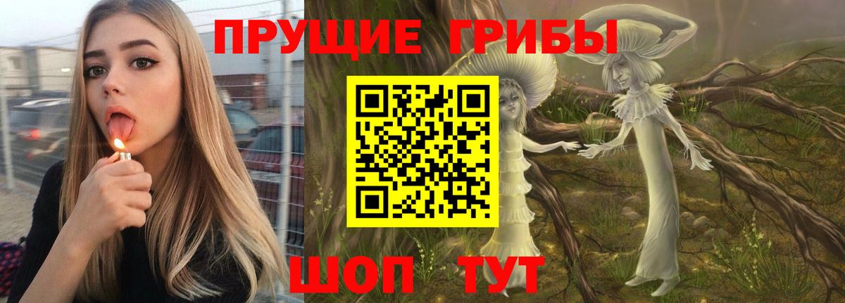 Арсеньев  Псилоцибиновые грибы Magic Shrooms  Вход с VPN 