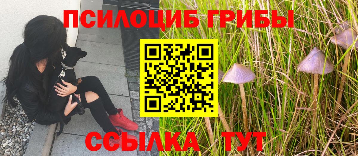 Галлюциногенные грибы мухоморы Арсеньев